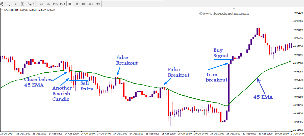 forex citibank