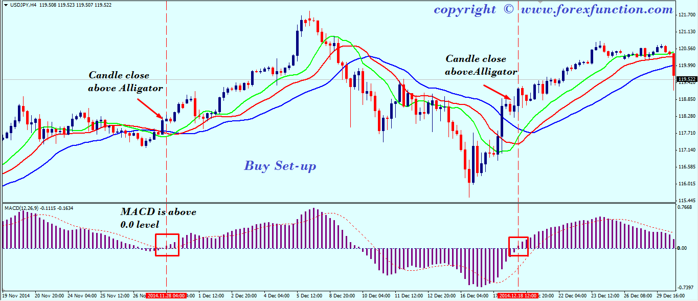 forex macd histogram