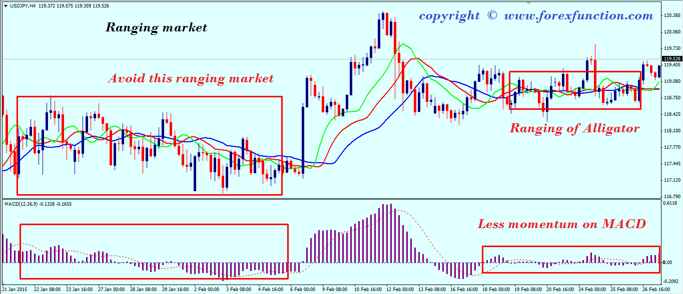 How to Use the Alligator Indicator in Forex – A Comprehensive Guide How to Use the Alligator Indicator in Forex – A Comprehensive Guide