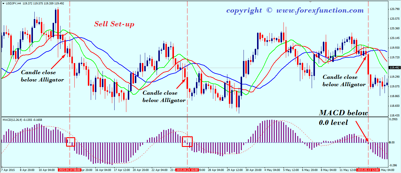 Macd forex strategy