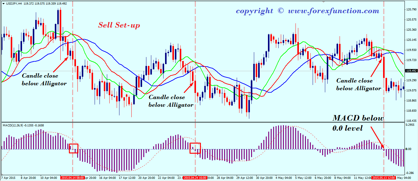 forex alligator strategia