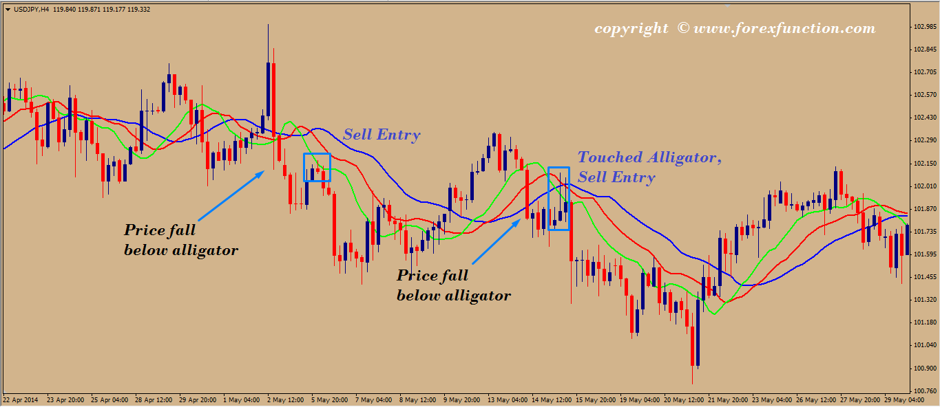 daily time frame forex trading strategy