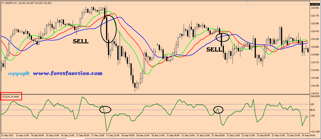 forex-trading-strategy-of-cci-and-alligator