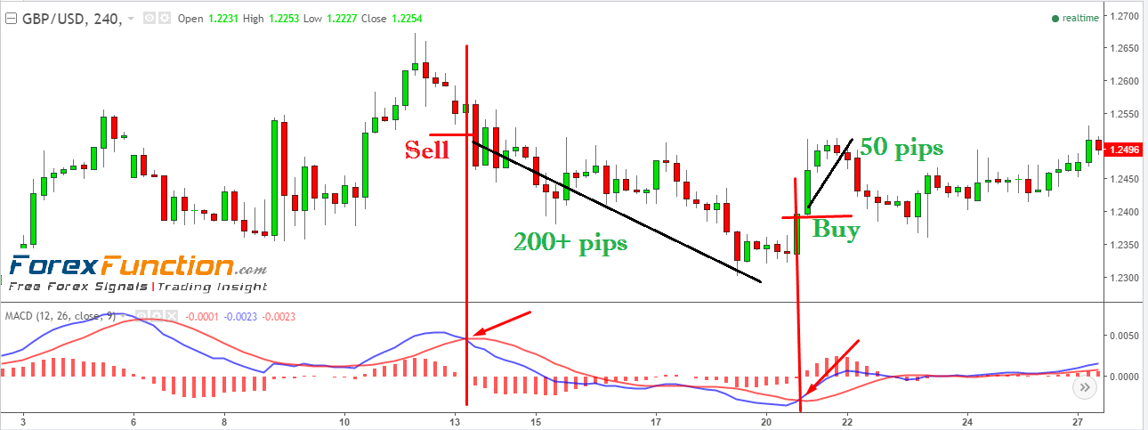 macd-crossover-simple-forex-trading-strategy