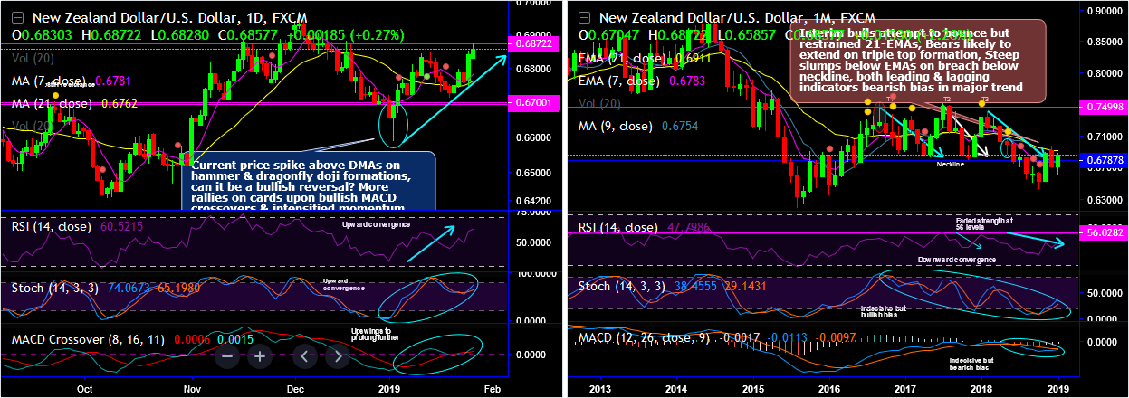 NZDUSD-2019-01-28.png