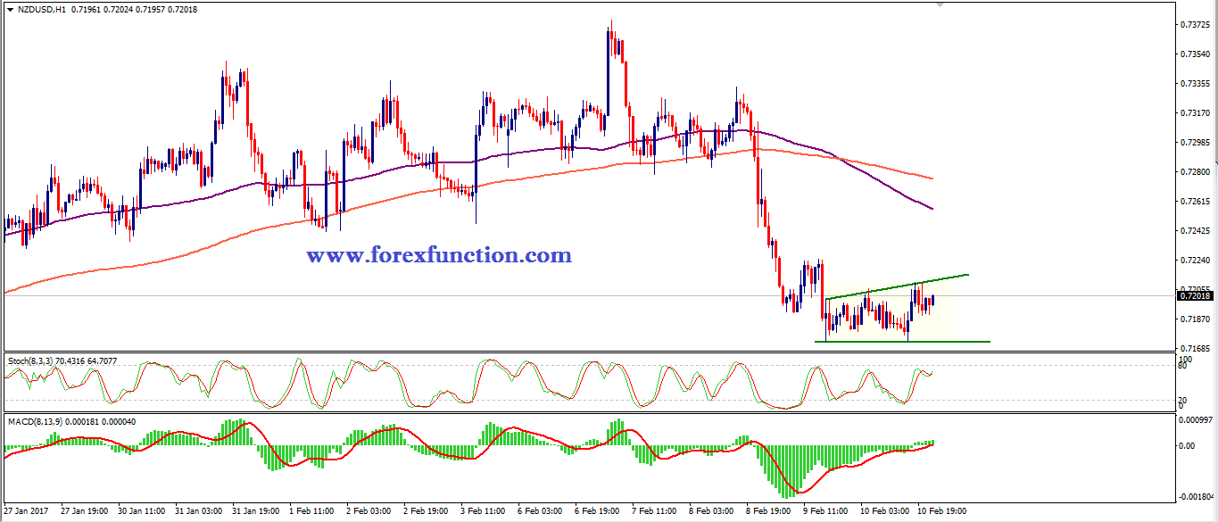 nzdusd-chart-analysis-13-17-february-forexfunction.png