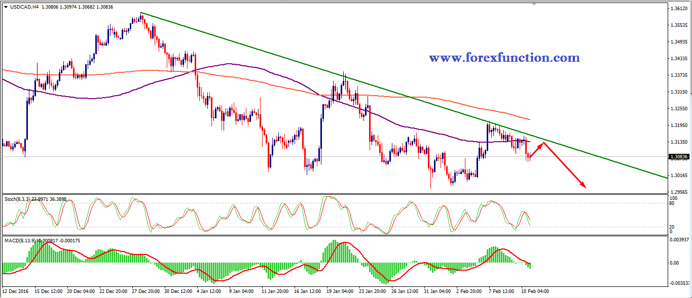 usdcad-chart-analysis-13-17-february-forexfunction.png