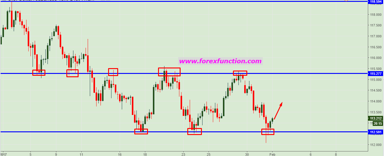 usdjpy-chart-analysis-forexfunction-2-1-2017.png